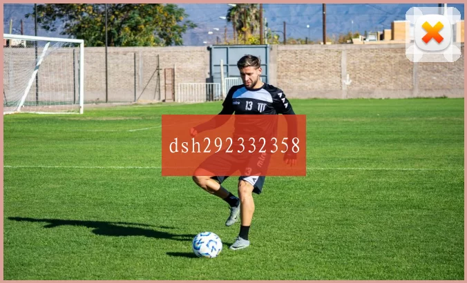 dsh292332358