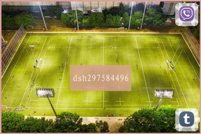 dsh297584496
