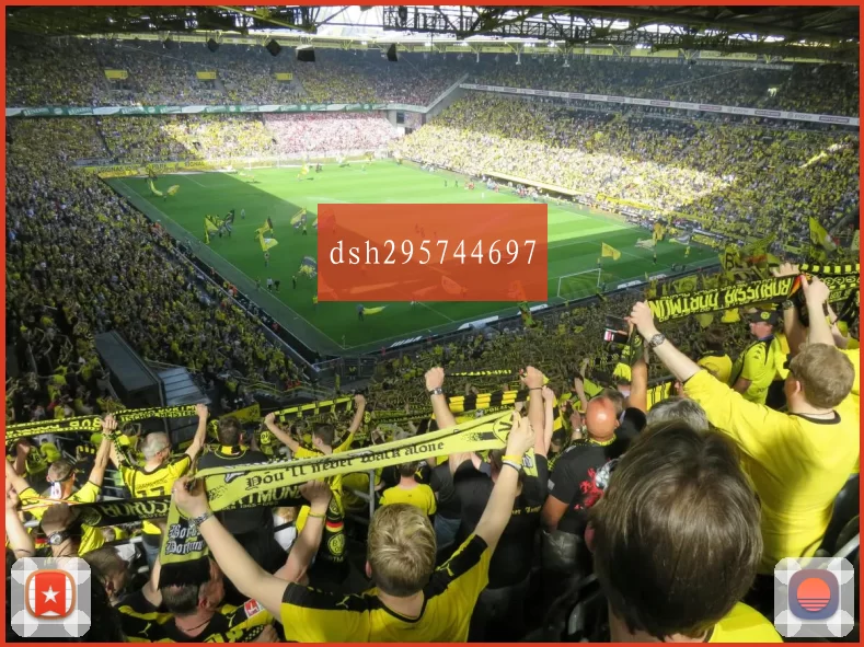dsh295744697