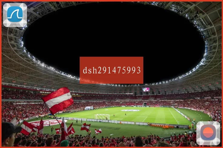 dsh291475993