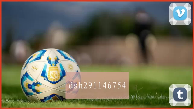dsh291146754