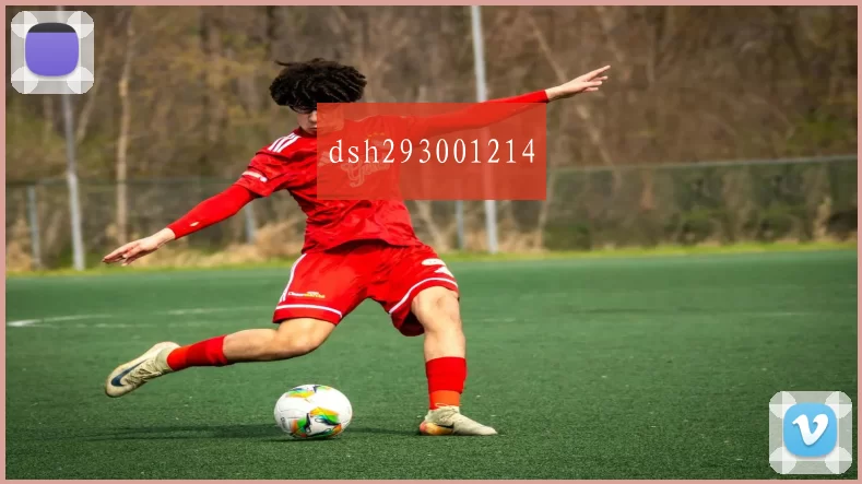 dsh293001214