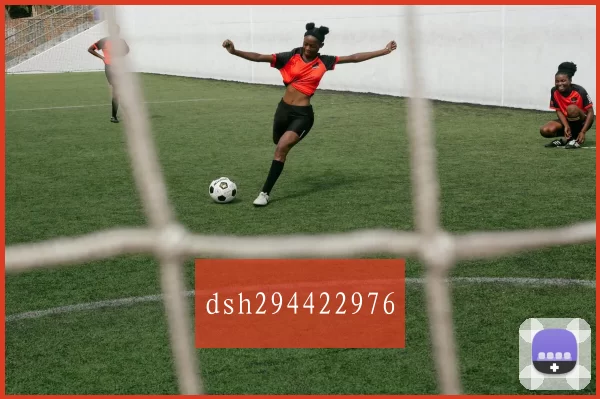 dsh294422976