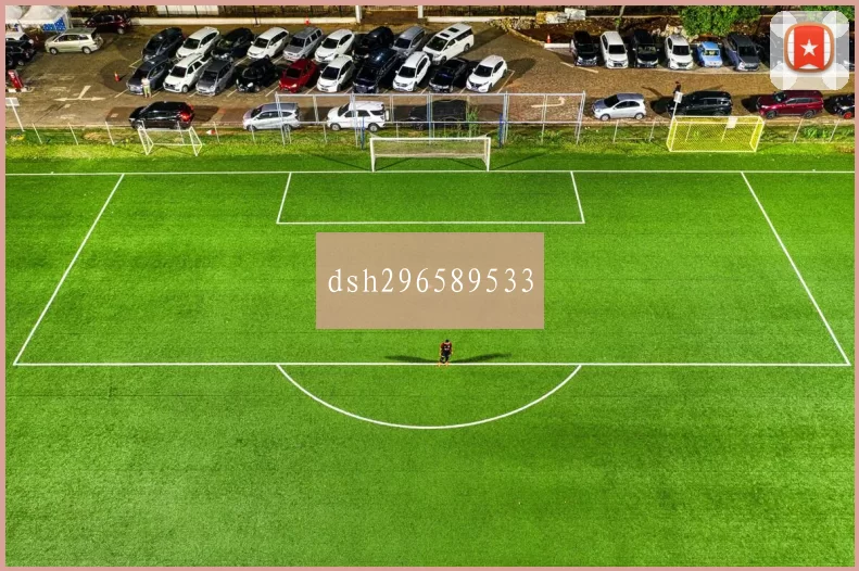 dsh296589533