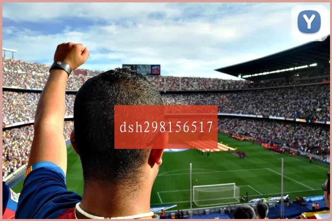 dsh298156517