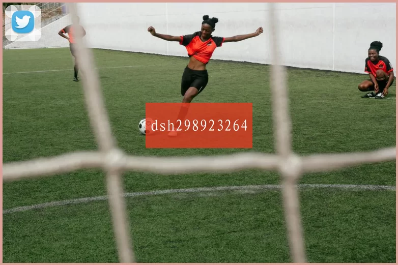 dsh298923264